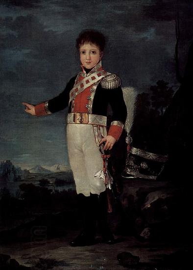 Francisco de Goya Portrat des Don Sebastian Gabriel de Borbon y Braganza oil painting picture